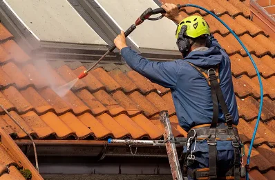 Démoussage et hydrofuge de toiture au Bourg